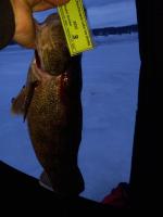 New Leader  Bill Lescynski, Jr. - Angler 3 - 2/16/2022 - 26 inch