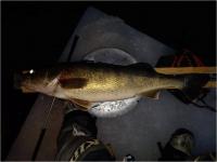 New Leader 26 inch Walleye  Bill Lescynski, Jr. - Angler 3 - 2/16/22