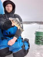 2nd Place Yellow Perch - 10.5 inches - Angler 6 - 2/12/22