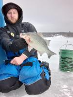 Leader - Silver Bass 15.75 inches - Contestant 6 - 2/12/22