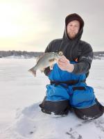 New Leader White Perch 13.5 inches Angler 6 Tom Cermak - 2/16/2022