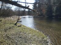 Wiscoy Creek in Spring
