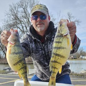 Some big Lake Erie Perch