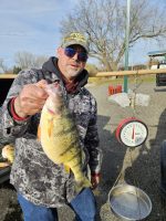 Rich Davenport with a 2lb 4oz Lake Erie Yellow Perch